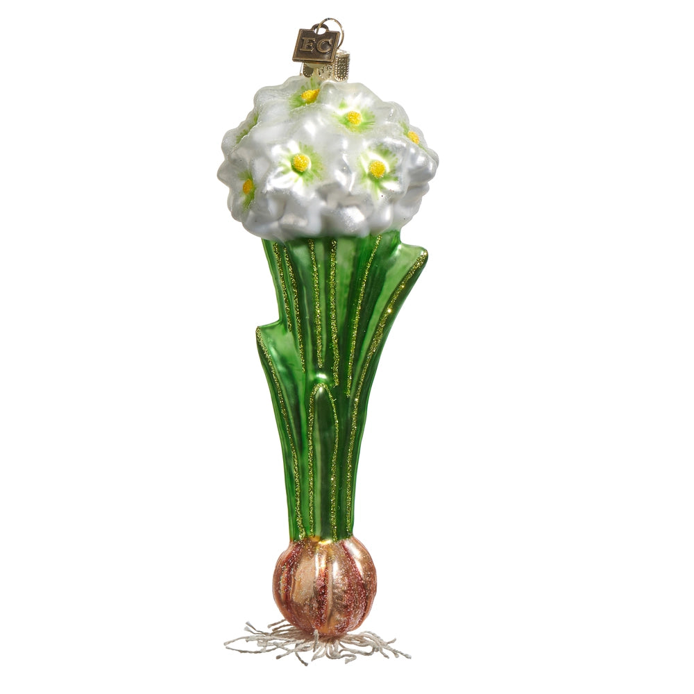 Eric Cortina 7" Paperwhite Bulb Ornament