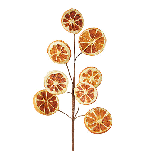 18.5" Dried Orange Slice Spray