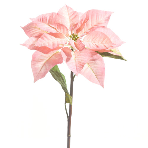 24.5” Pink Poinsettia Stem