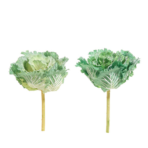 10.5" Ornamental Cabbage Stem – Sold Separately