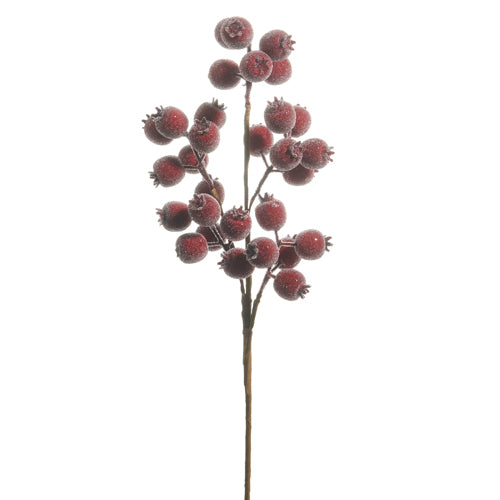 Burgundy Iced Berry Pod Spray – 21"