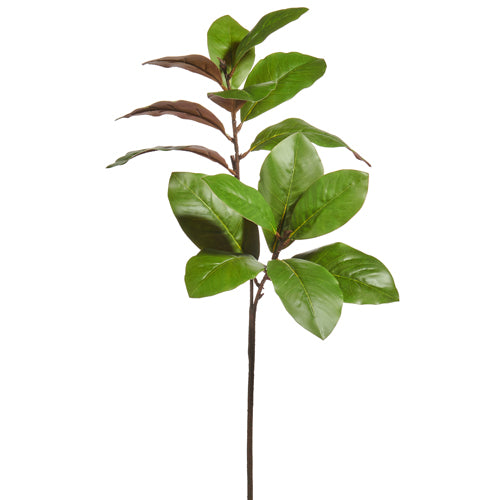35" Magnolia Leaf Stem