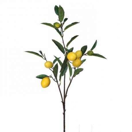 Lemon Branch Christmas Pick - 35"