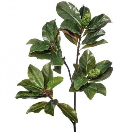 Magnolia Leaf Stem – 44"