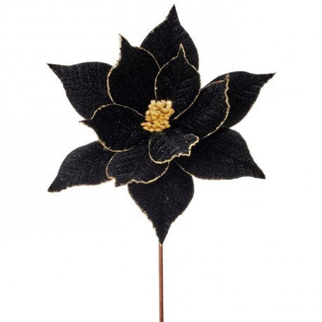 22” Black & Gold Velvet Poinsettia Pick