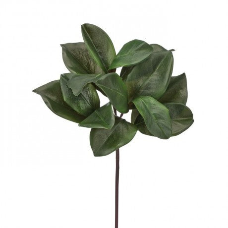 16" UV Magnolia Leaf Spray