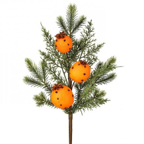 Pomander Orange & Pine Pick – 18"