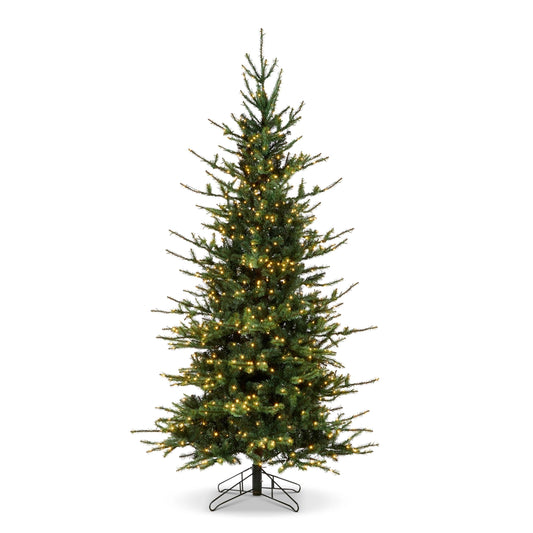 DC 12' Rocky Mountain Spruce – Brilliant Color Change LEDs